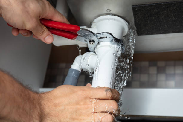 Best Flooded house restoration  in Pinellas Park, FL