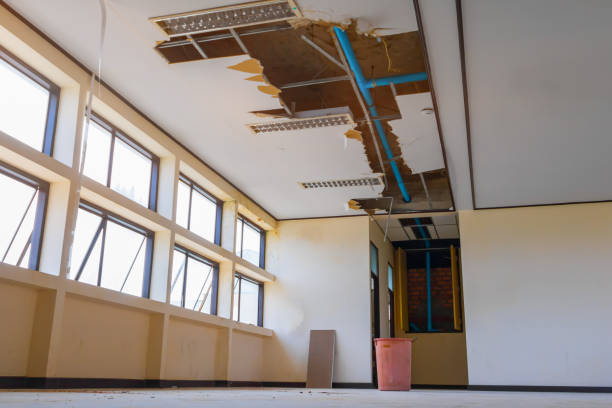 Best Water damage restoration cost  in Pinellas Park, FL