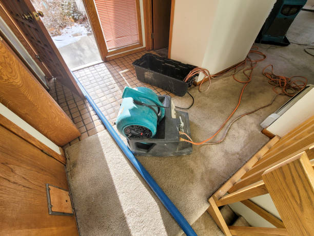 Best Commercial water damage restoration  in Pinellas Park, FL