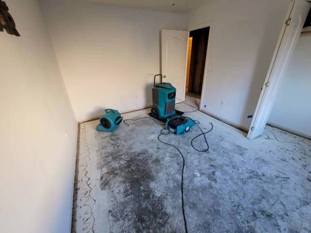 24/7 water damage repair in FL