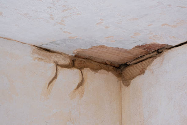 Best Residential water damage restoration  in Pinellas Park, FL