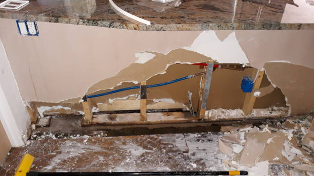 Best 24/7 water damage repair  in Pinellas Park, FL