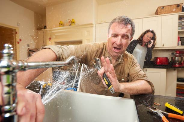 Best Fire Damage Restoration  in Pinellas Park, FL